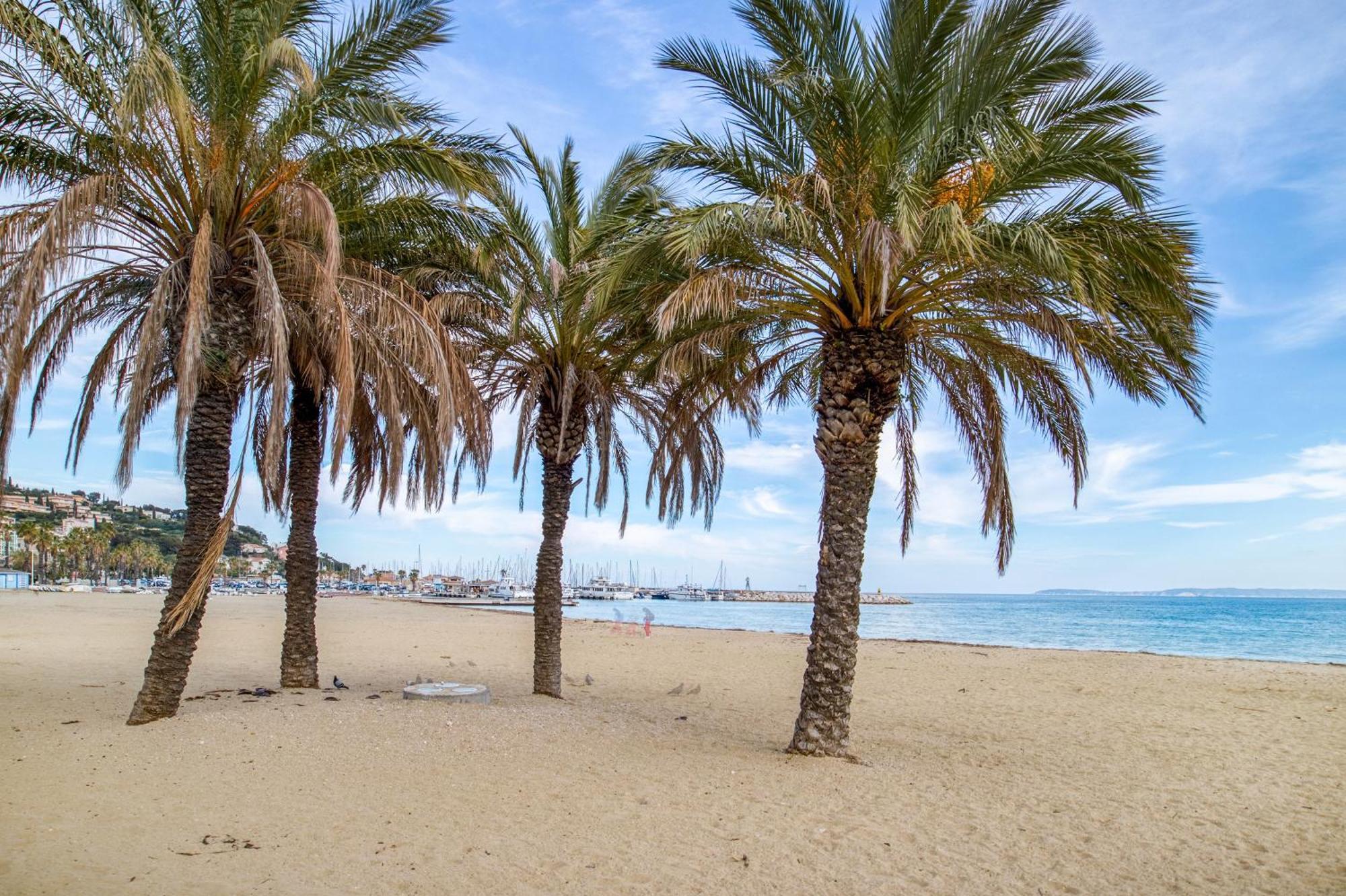 Nouvelle Ere - Appt A Moins D'Un Km De La Plage Le Lavandou Exteriér fotografie